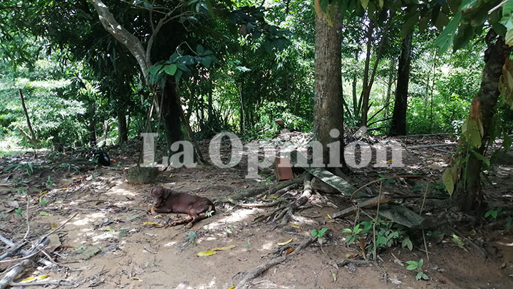 Por la parte trasera de la vivienda hombres armados ingresaron a la finca y la lideresa les pidió que se fueran. 