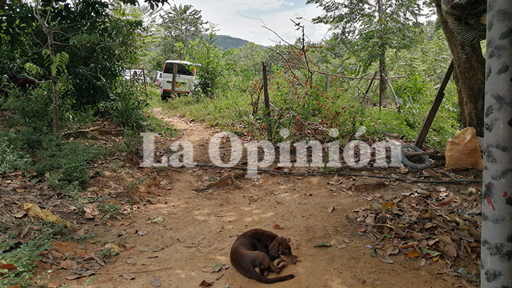 Ninguna autoridad fue al lugar para inspeccionarlo.  Una funeraria realizó el levantamiento del cadáver.