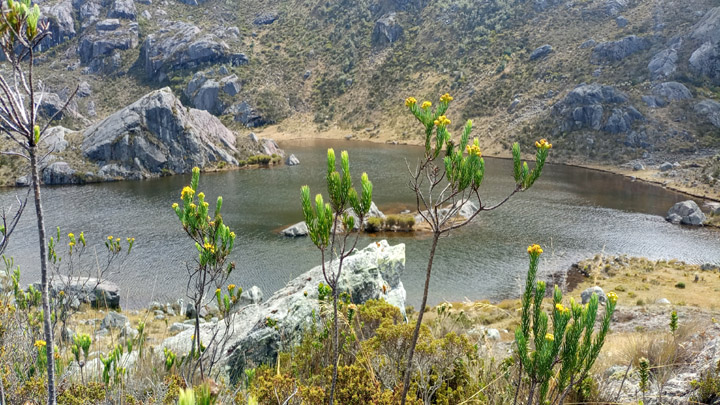 Imagen de alta montaña andina.