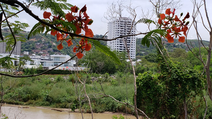 Sobre la ribera del río Pamplonita, la naturaleza dice presente.