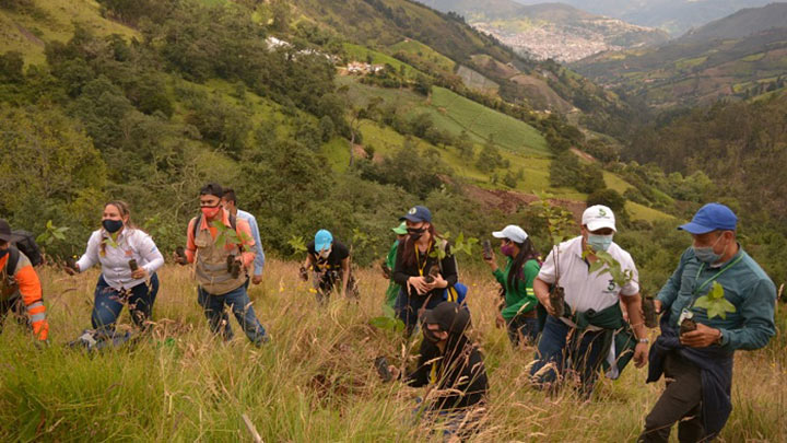 Las autoridades ambientales buscan la recuperación, restauración y protección de los ecosistemas.