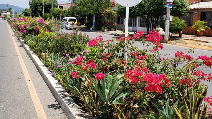 En Cúcuta, a menudo tropezamos con sitios de colores que recrean los sentidos, en calles, parques y avenidas.