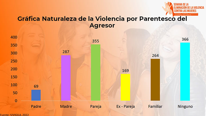 Parentesco de los agresores de las mujeres./Gráfico: cortesía