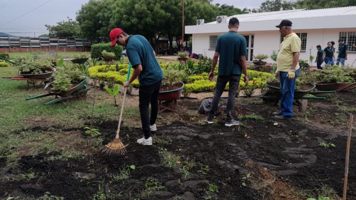 Los estudiantes desarrollan las actividades prácticas cada 15 días. / Foto: La Opinión 