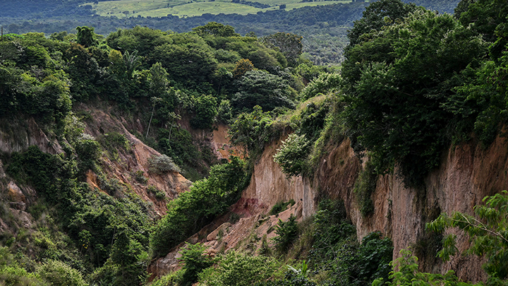 Ciudad amazónica de Brasil colapsa ante el avance de enormes cráteres    