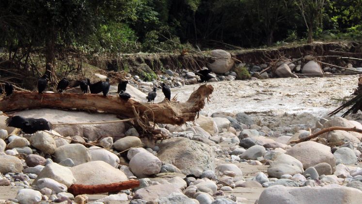 El río buscó su cauce y se llevó todo lo que encontró a su paso. / Foto: Carlos Eduardo Ramírez / La Opinión 