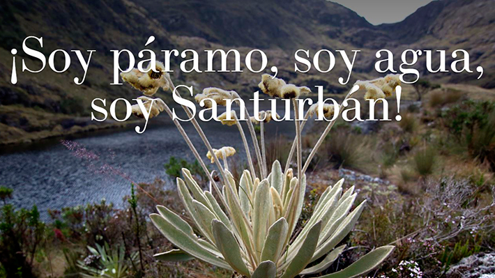El páramo de Santurbán ofrece uno de los paisajes más hermosos del país 