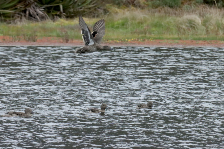 Dia mundial del Agua 2