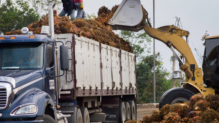 Economía regional Norte