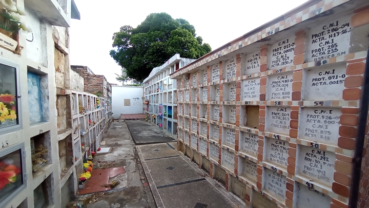 En el Cementerio Central de Cúcuta hay 22.000 por inspeccionar.
