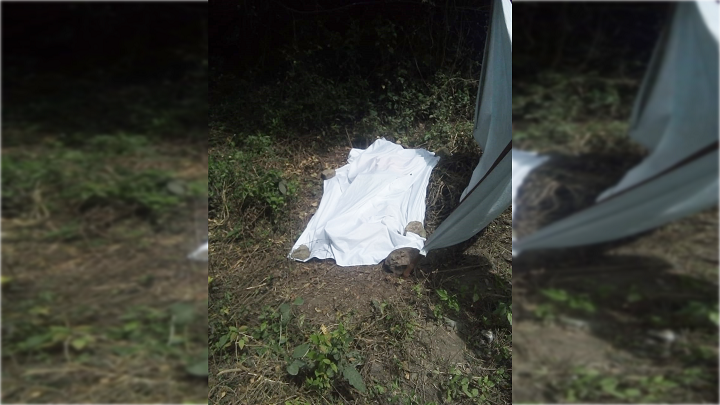Los vecinos de la víctima se encargaron de encontrar el cadáver.