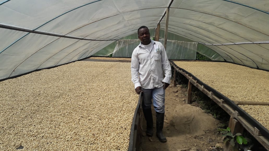 Domigno torres, caficultor de ragonvalia 