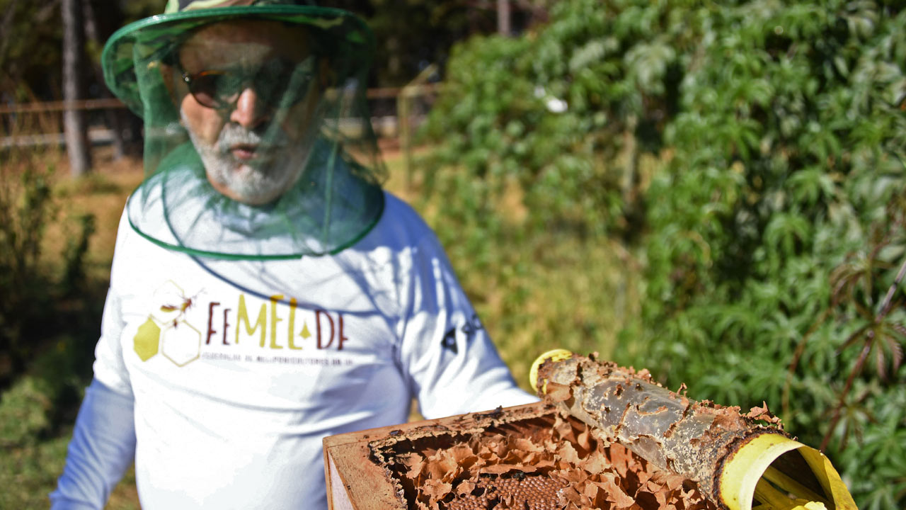Abejas e Brasil./AFP 
