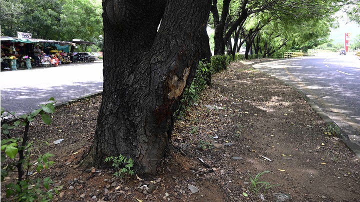 Algunas personas que rondaban el sitio lo auxiliaron pero no fue suficiente para salvar la vida del joven.