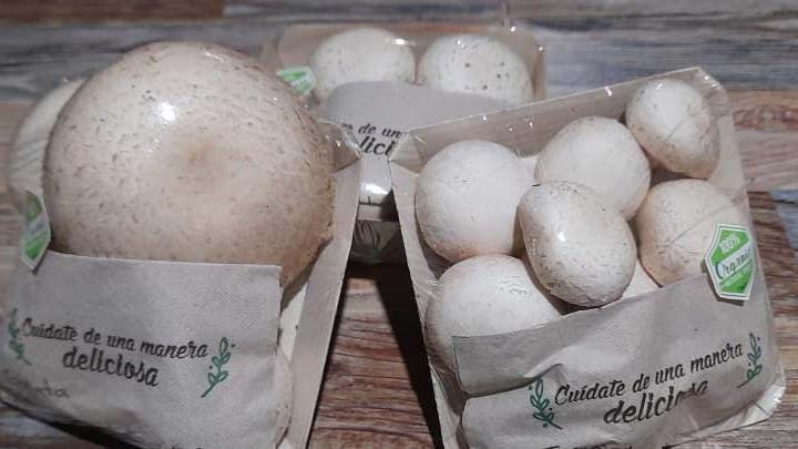 La familia Angarita Pulido tuvo la iniciativa. 