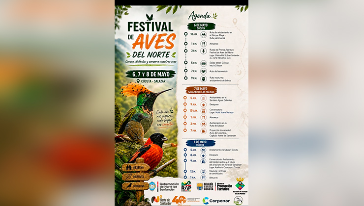 Festival