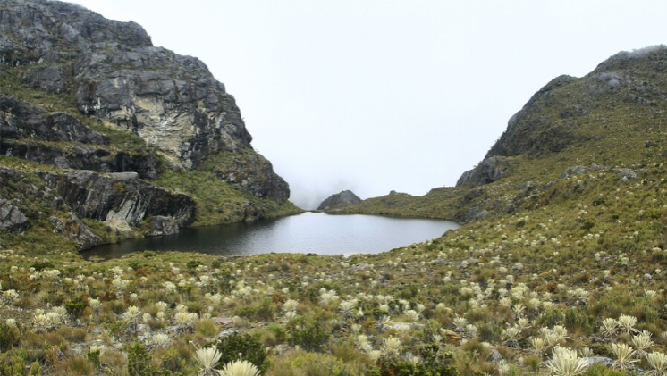 image - 2026-03-21T185743.793.pn