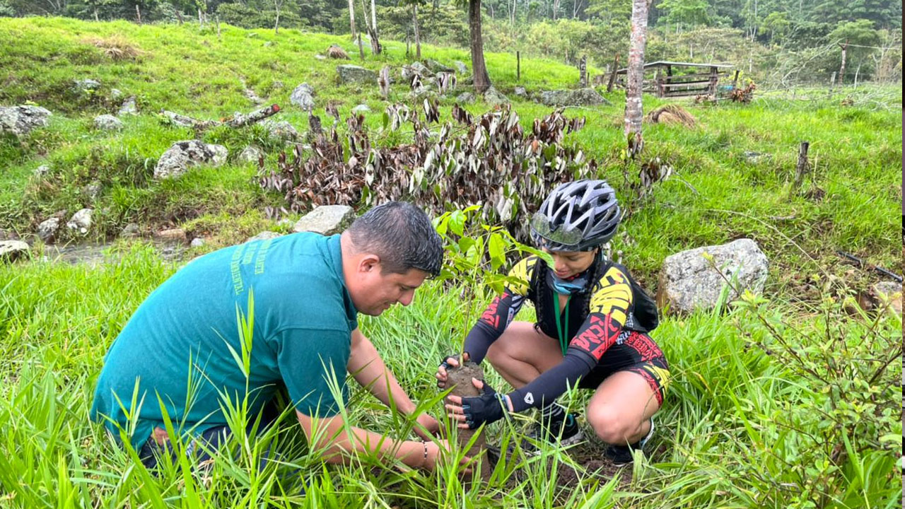 Siembra de árboles en Los Patios