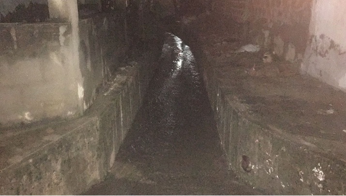 Aron Steven estaba enredado entre unas ramas.