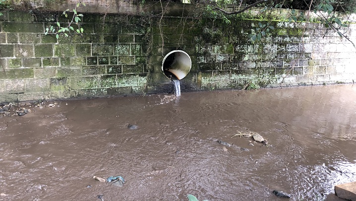 Un grupo de estudiantes de programa de Biología, de la Universidad de Pamplona encontró microplásticos en aguas del río.