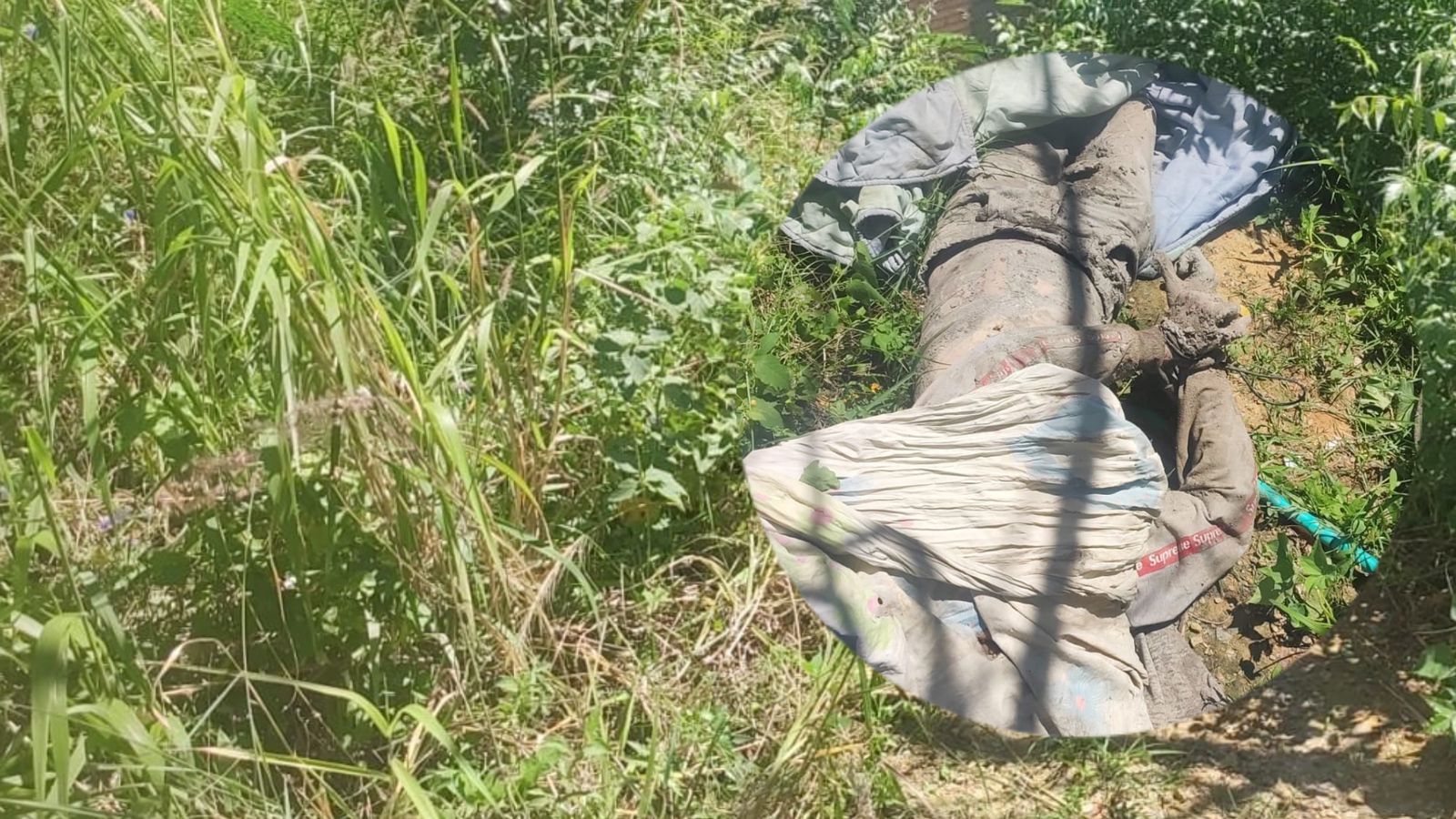 Pedro Humberto Omaña Payares.