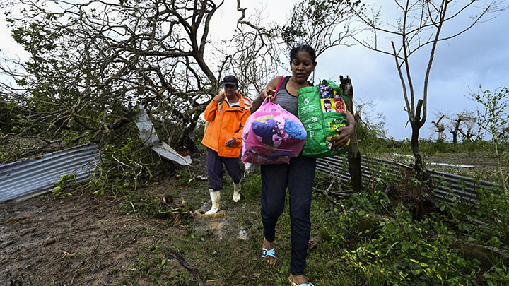 Ian, "una catástrofe" para el vital tabaco cubano./Foto: AFP