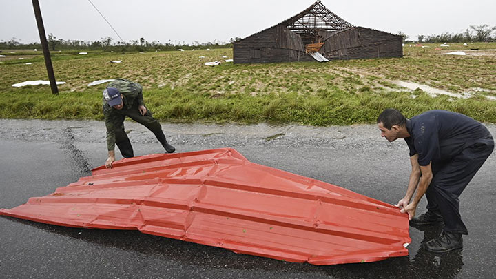 Ian, "una catástrofe" para el vital tabaco cubano./Foto: AFP