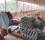 Producción avícola. / Foto Archivo