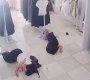 Mujer entra en pánico al encontrar una rata en sus pantalones en una tienda