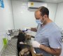 ESTERILIZACIÓN DE ANIMALES 