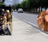 Mona Accidente Floresta