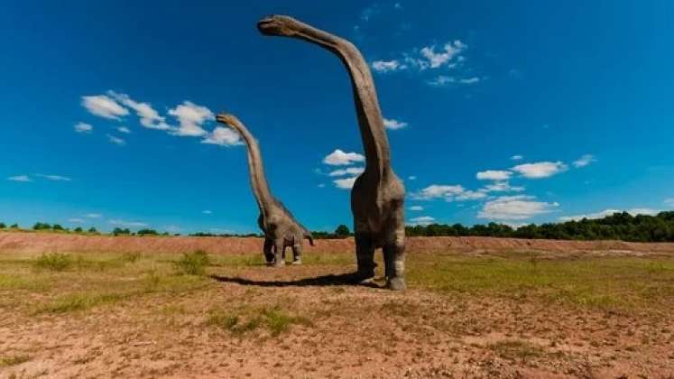 Los restos fósiles fueron encontrados en la provincia de Neuquén, ubicada en la Patagonia. /Foto: Cortesía