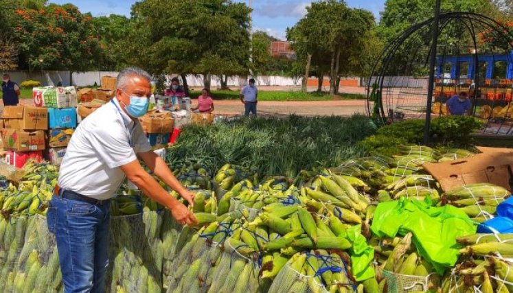 El secretario de Agricultura de Norte de Santander, Wilmar Arévalo, dijo que en 2021 el gobierno departamental seguirá apoyando el campo./ Foto:Foto cortesía para La Opinión