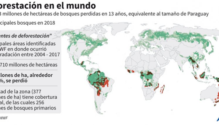 La deforestación en el mundo. / Gráfico: AFP