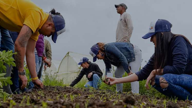 'In-pactamos' benefició a 56 empresas colombianas en 2020. / Foto: Cortesía