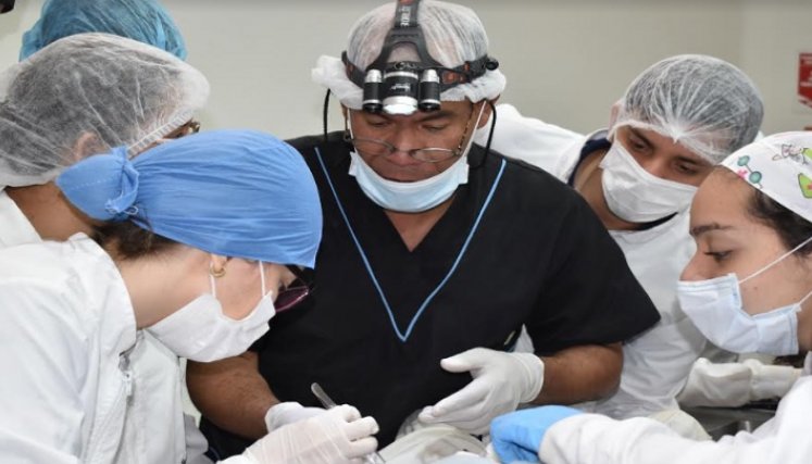 El docente Humberto Ferreira lidera los procesos de investigación en anatomía en humano./Foto: Cortesía Unipamplona