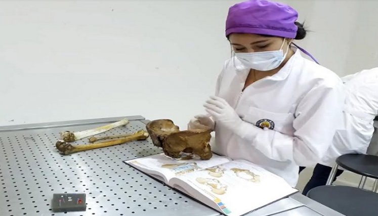 Unipamplona El docente también está vinculado a varias redes internacionales de investigación e investigadores, en donde le han publicado los trabajos científicos./Foto: cortesía Unipamplona