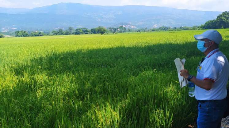 La Unidad de Restitución de Tierras (URT) hizo entrega material de los predios ‘Las Delicias’ y ‘Quebrada Seca’ a José Guillermo Márquez y Rosmira Gélvez. / Foto: Cortesía