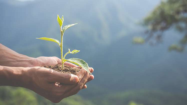 Conceptos sobre el medio ambiente.