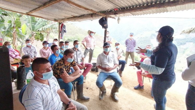 La estrategia está orientada a formar  a 17 beneficiarios de restitución de Ocaña y dos más de Ábrego, quienes se reunieron en el corregimiento Cerro de las Casas de Ocaña para conocer detalles sobre la siembra, poda y herramientas para mejorar la productividad de la cosecha. / Foto: Cortesía