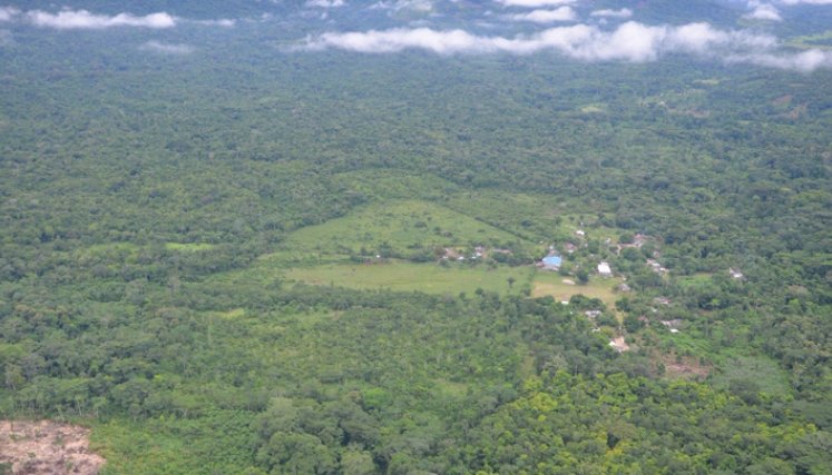 Catatumbo Algunos que viajaban entonces por esas agrestes selvas, decían que eran exploradores “a lo Stanley”.