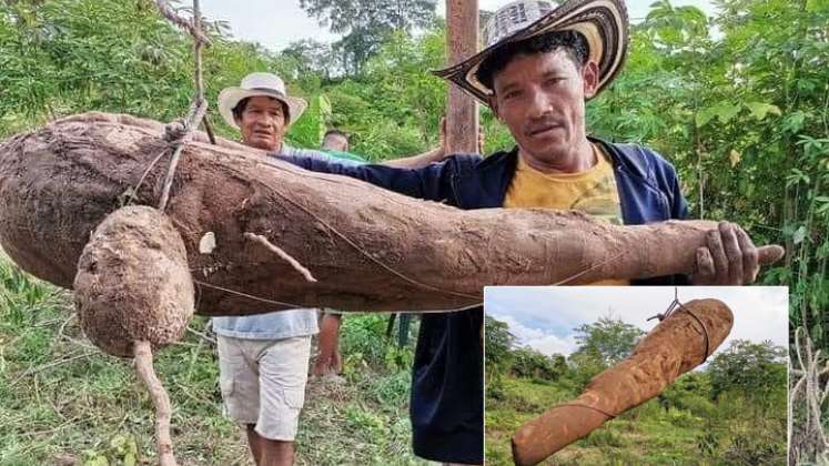 Arcelio Álvarez, un campesino de la zona rural de Montería.