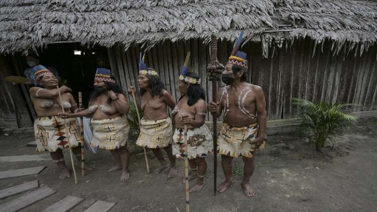 La región del Amazonas es muy biodiversa