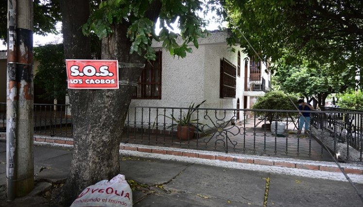 Si no les cumplen , realizarán un plantón en el parque Santander. / Foto: Jorge Gutiérrez/ La Opinión 