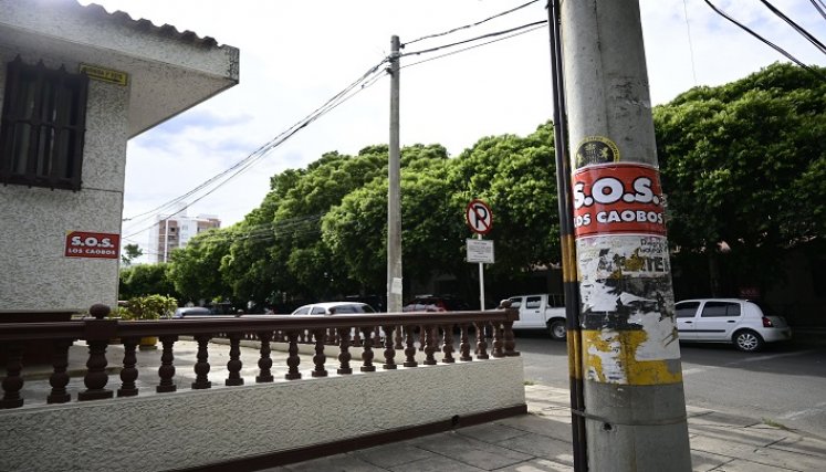 No quieren ver más habitantes de calle en el sector. / Foto: Jorge Gutiérrez / La Opinión 