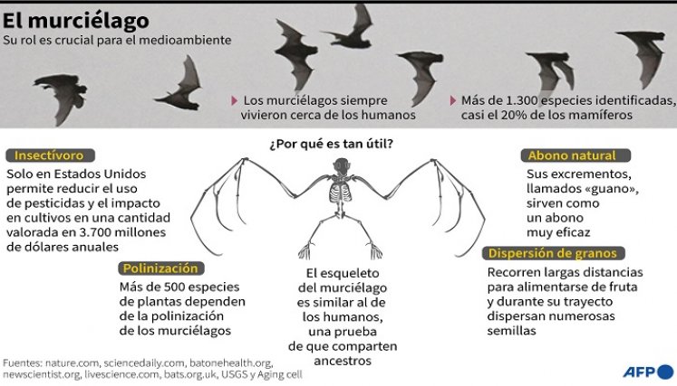 generalidades del animal. / Foto: AFP