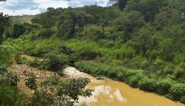 El agua contaminada de la quebrada está generando enfermedades gástricas en la comunidad. / La Opinión.