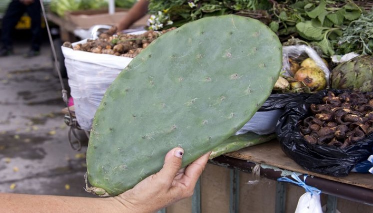 Los yerbateros son un referente de la medicina natural. /Archivo La Opinión