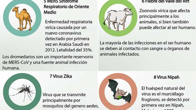 Enfermedades producidas por zoonosis.