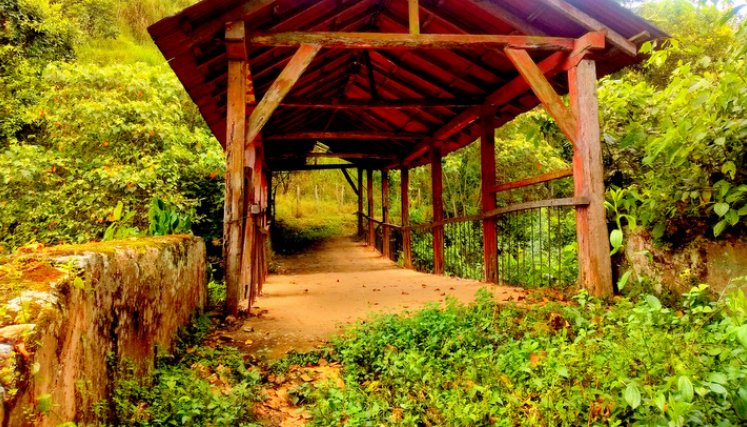 Puente Rojo Sucre, en Chinácota